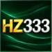 HZ333 Game