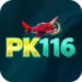 PK11 Game